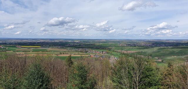 ... zur Mitte ... | Foto: privat Sibylle Tröber