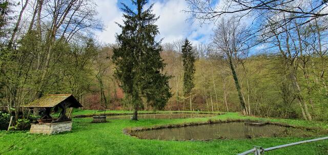 idyllisch. | Foto: privat Sibylle Tröber