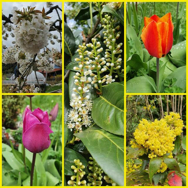 Bunte Vielfalt | Foto: privat Sibylle Tröber