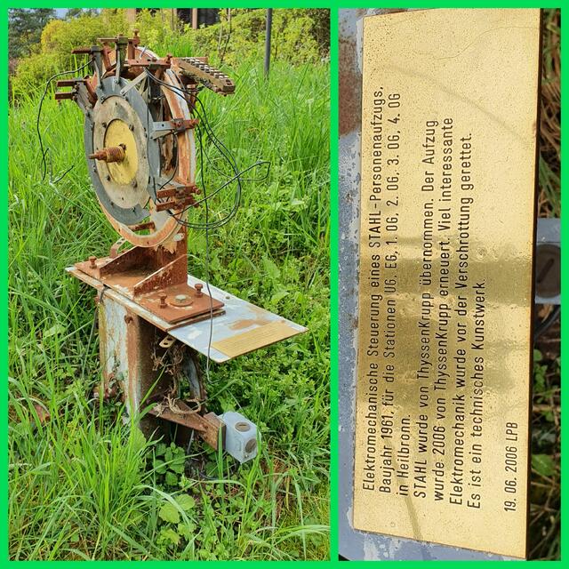 Raritäten ... | Foto: privat Sibylle Tröber