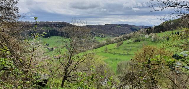 Blick ins Brettachtal ... so schön! | Foto: privat Sibylle Tröber