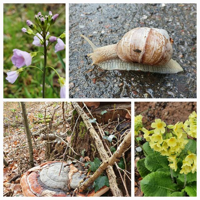 Natur in verschiedensten Formen. | Foto: privat Sibylle Tröber