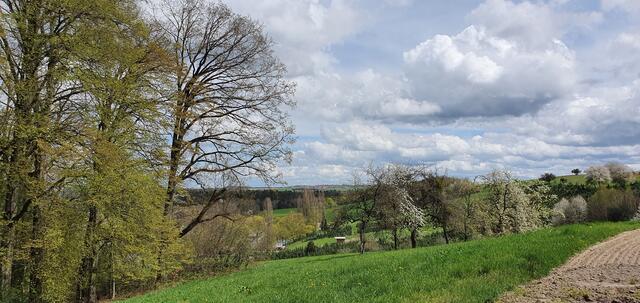 Aussicht | Foto: privat Sibylle Tröber