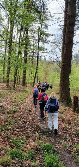 Und hinein geht's in den lindgrünen Wald - auch wenn der Weg matschig war. | Foto: privat Sibylle Tröber