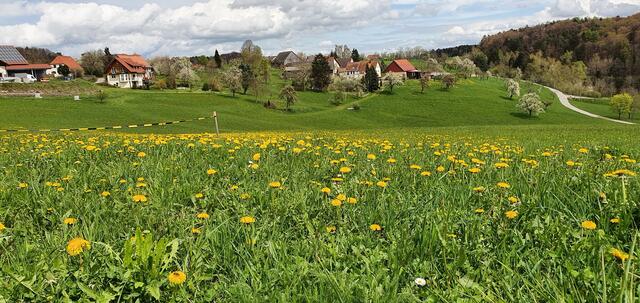 Blick auf den Weiler Schönhardt | Foto: privat Sibylle Tröber
