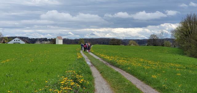 saftige Wiesen | Foto: privat Sibylle Tröber
