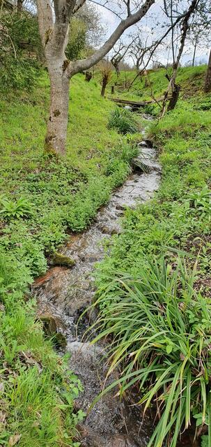 idyllisch | Foto: privat Sibylle Tröber