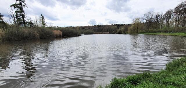 am Gleichener See | Foto: privat Sibylle Tröber