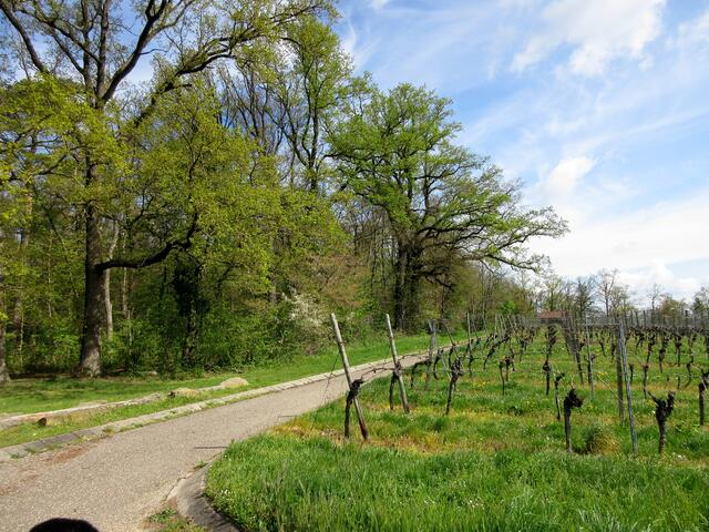 Oben am Rastplatz waren mehrere Gruppen eines Kindergartens unterwegs