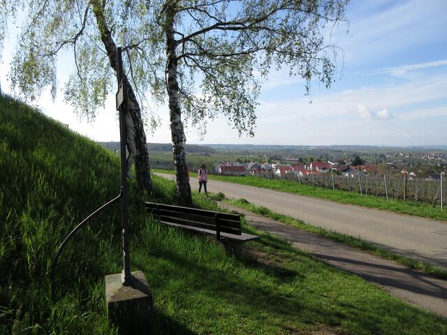 Nur noch um die Ecke und wir sind auf der Haigern angekommen. Aussicht auf Talheim