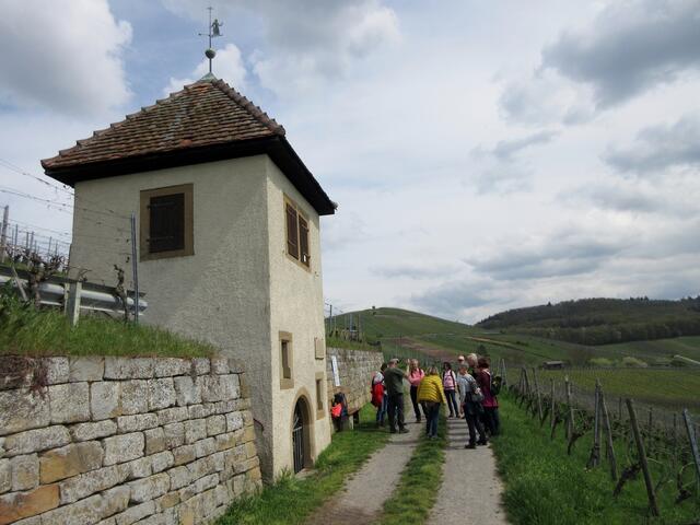 Ein barockes Wengerthaus - das Karmeliterhäuschen 1537