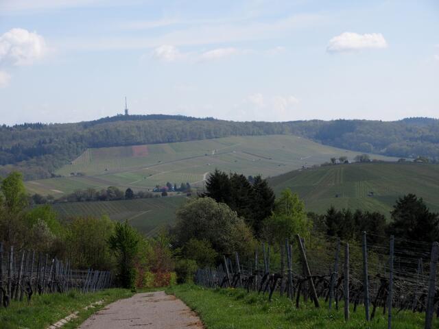 Auf der anderen Seite der Blick zum Schweinsberg, oberhalb des Altenbergs.