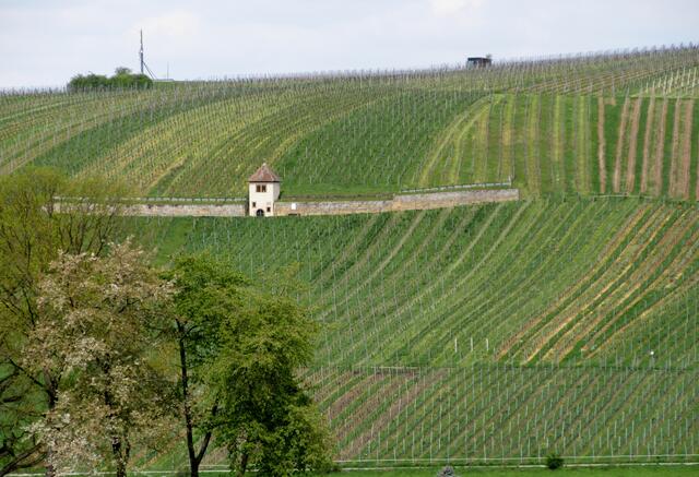 Mit der modernen Bildtechnik ist es aber kein Problem sich das Motiv mal näher anzuschauen.