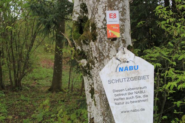 Info | Foto: Ralf Röser