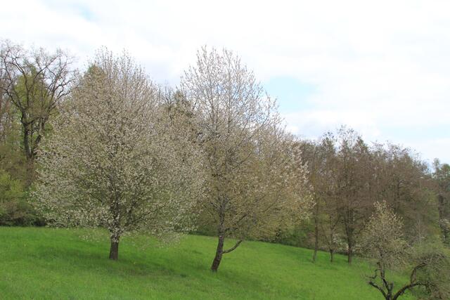 noch schöner | Foto: Ralf Röser