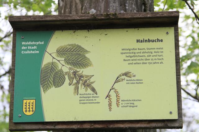 Info | Foto: Ralf Röser