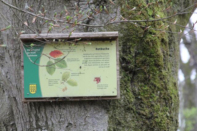 Info | Foto: Ralf Röser