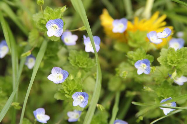 schönes am Wegesrand😍 | Foto: Ralf Röser