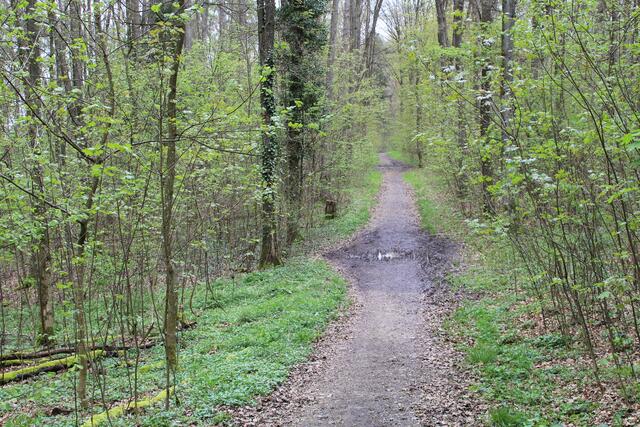 da runter | Foto: Ralf Röser