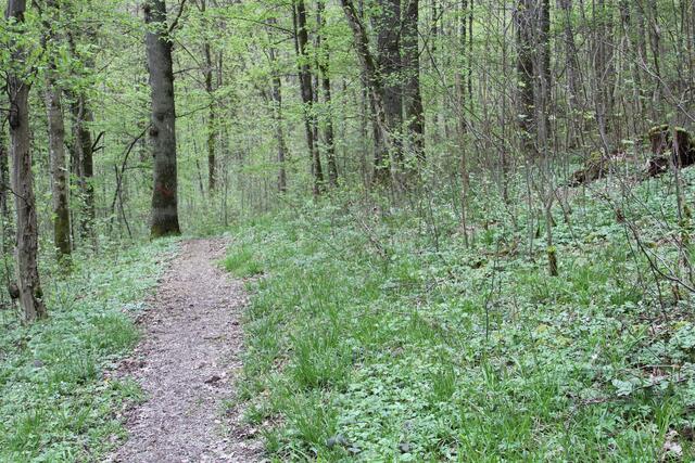 schee | Foto: Ralf Röser