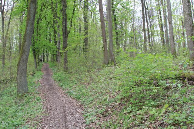 einfach schöne Wege | Foto: Ralf Röser