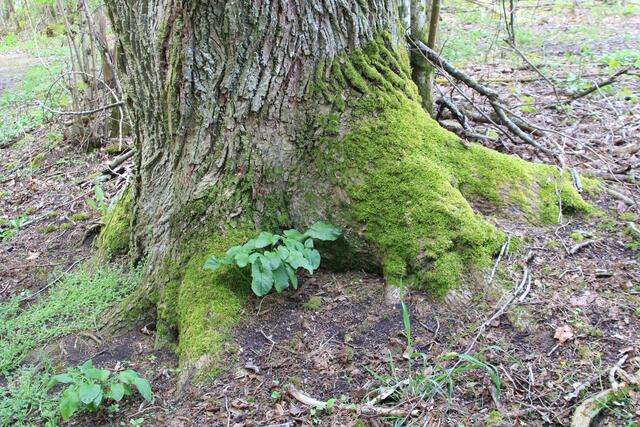 schön😍 | Foto: Ralf Röser