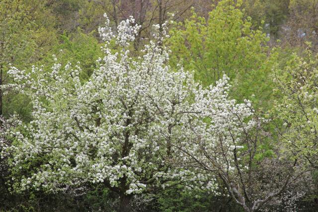 schönes am Wegesrand😍 | Foto: Ralf Röser