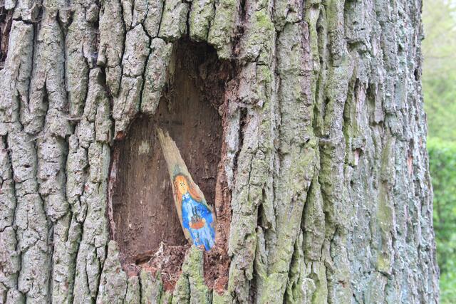 ist das süss😍 | Foto: Ralf Röser