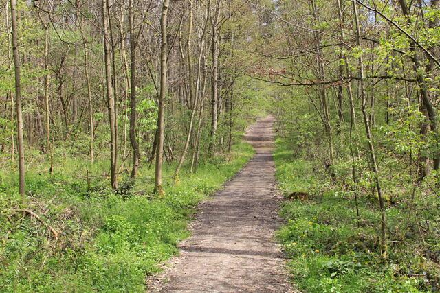 sehr schöne Wege | Foto: Ralf Röser