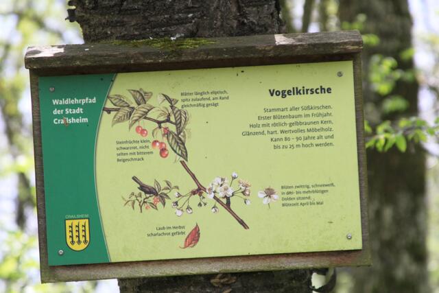 Info | Foto: Ralf Röser