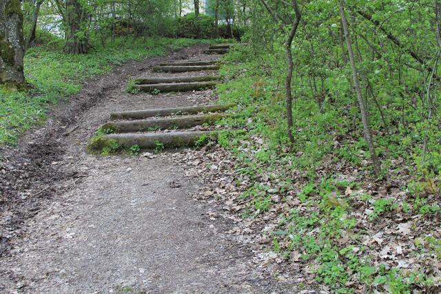 da rauf | Foto: Ralf Röser