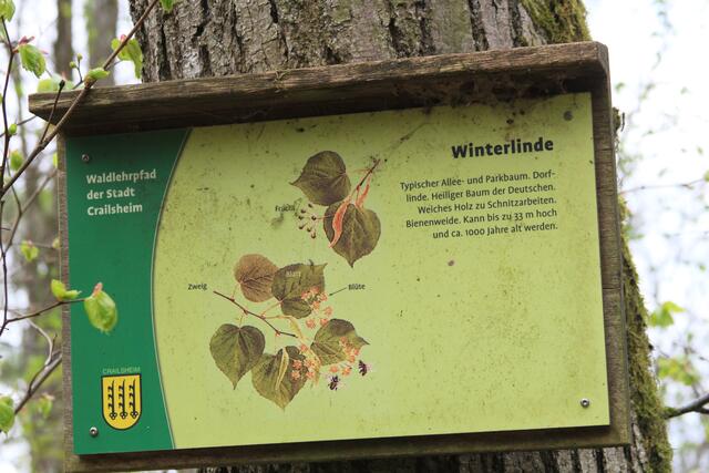 Info | Foto: Ralf Röser