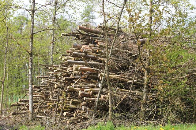 abgelegt | Foto: Ralf Röser