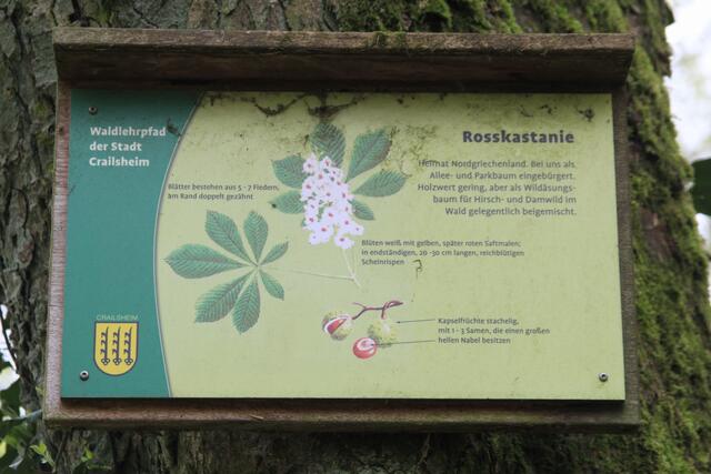 Info | Foto: Ralf Röser