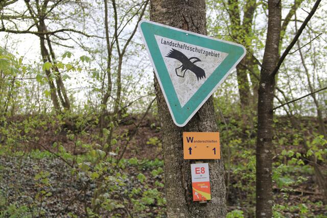 Info | Foto: Ralf Röser