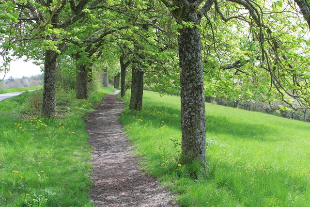 da lang | Foto: Ralf Röser