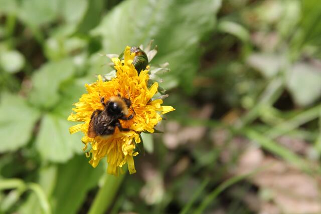 schönes am Wegesrand😍 | Foto: Ralf Röser