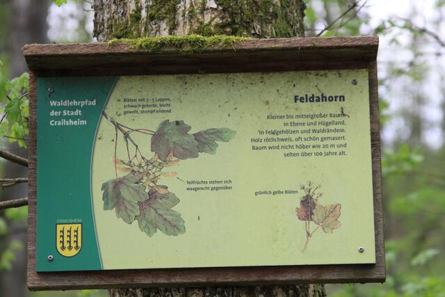 Info | Foto: Ralf Röser