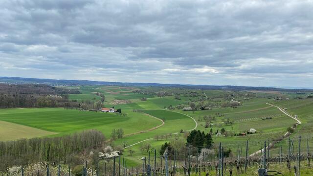 Weitblicke vom Panoramaweg bei trockenem Wetter (Vorwanderung). Am Wandertag selbst war die Aussicht leider nicht so gut.  | Foto: Petra Schüssler
