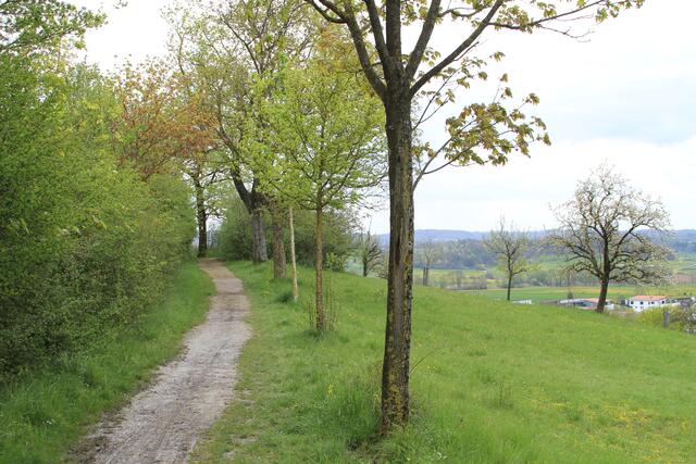 und weiter | Foto: Ralf Röser