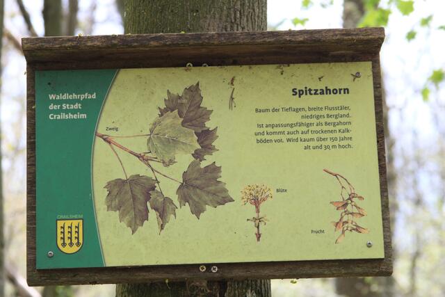 Info | Foto: Ralf Röser