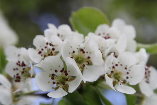 schönes am Wegesrand😍 | Foto: Ralf Röser