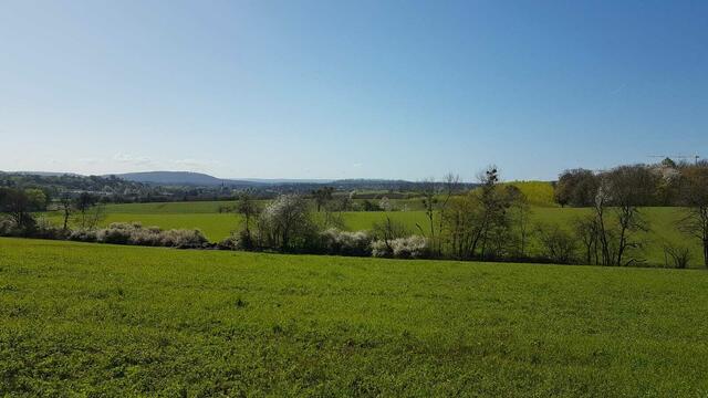 Ausblicke bei schönem Wetter ( Vorwanderung)  | Foto: Petra Schüssler