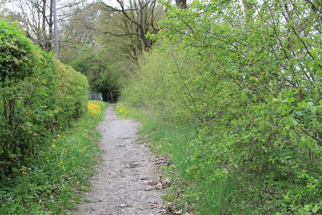 und weiter | Foto: Ralf Röser