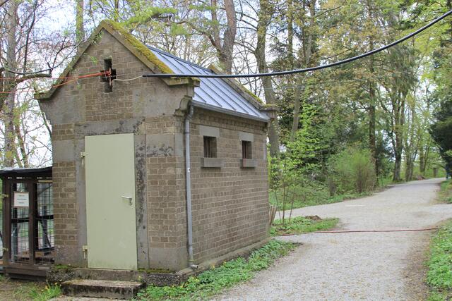 cool | Foto: Ralf Röser