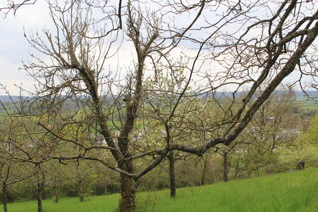 schön | Foto: Ralf Röser