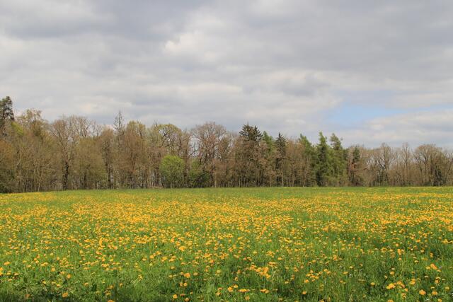 schöne Aussicht | Foto: Ralf Röser
