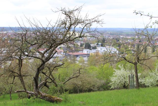 schöne Aussicht | Foto: Ralf Röser