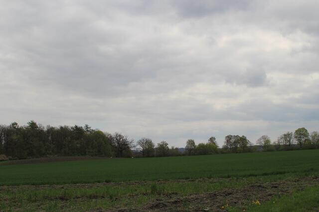 schöne Aussicht | Foto: Ralf Röser