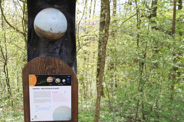 Info | Foto: Ralf Röser